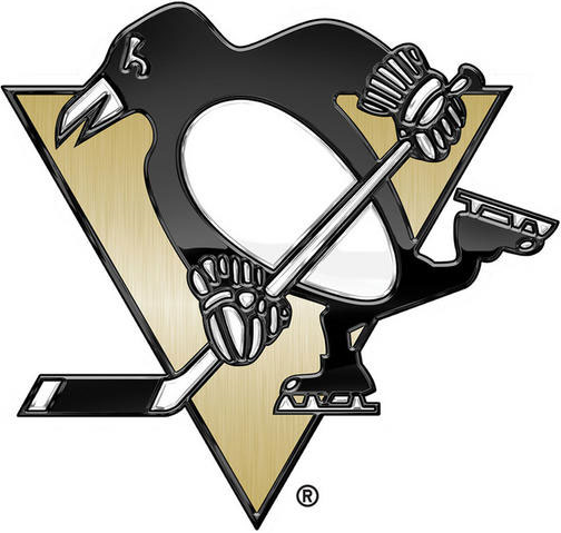 Pittsburgh Penguins 2014 Special Event Logo iron on transfers for clothing